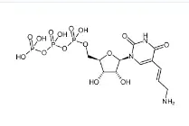 CAS號：112131-73-4，Aminoallyl-UTP，氨基烯丙基尿苷三磷酸