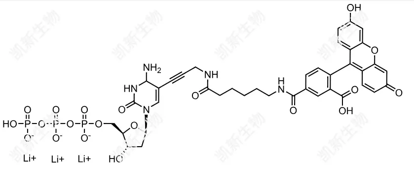 FAM-11-dCTP，熒光素標(biāo)記脫氧胞苷三磷酸：高效熒光標(biāo)記的脫氧胞苷三磷酸衍生物及其分子生物學(xué)應(yīng)用