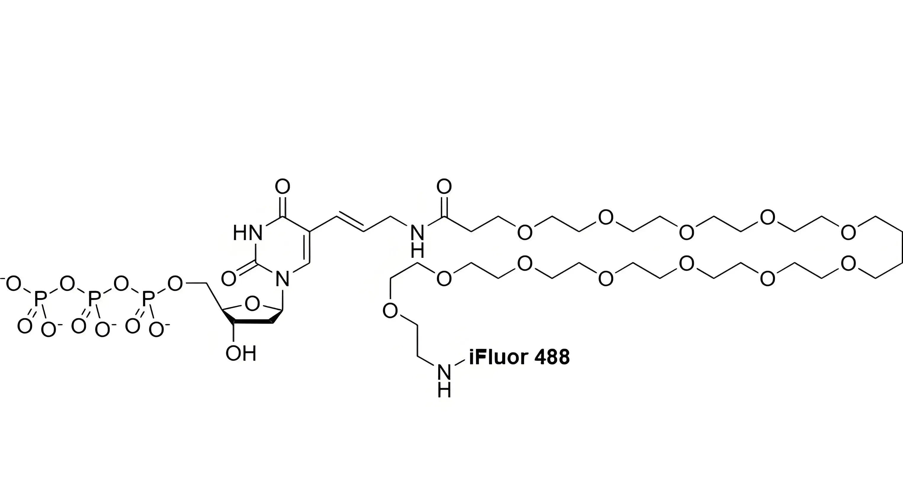 iFluor488-PEG12-dUTP，iFluor488-十二聚乙二醇-脫氧尿苷三磷酸在反應體系中的溶解穩(wěn)定性解析