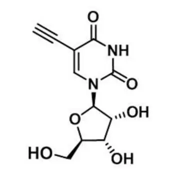 5-Ethynyluridine，5-EU，69075-42-9，核心結(jié)構(gòu)特點是在尿苷的5位碳上引入了一個乙炔基