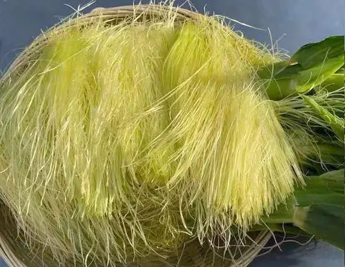 痛風(fēng)食療指南！8種低嘌呤食物建議常吃，溫和緩解不適少?gòu)?fù)發(fā)